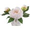 White & Pink Peony Arrangement in Elegant Glass Square Vase - Lifelike Artificial Flowers for Home, Office & Event Decor - Floral Home by Artificial Flowers